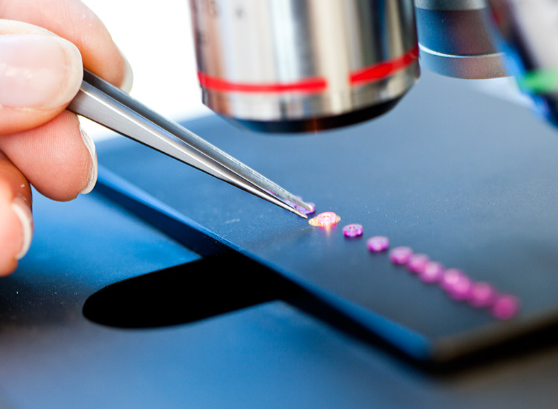 Hand mit Pinzette unter Mikroskop